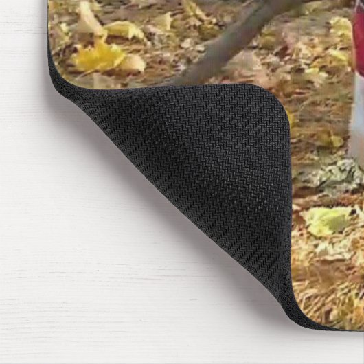 Autumn Rex mousepad (Ecke)