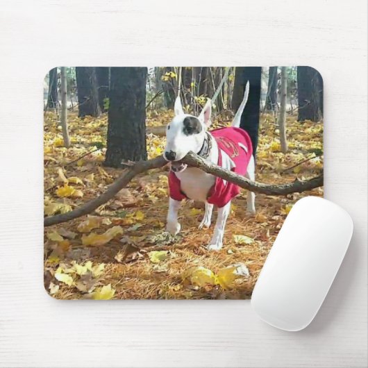 Autumn Rex mousepad (Mit Mouse)