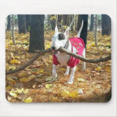 Autumn Rex mousepad (Vorne)