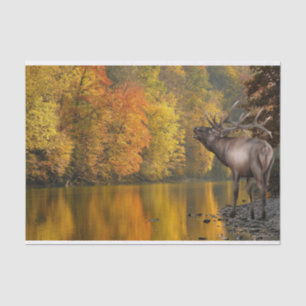 Autumn River Elk Seidenpapier