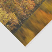 Autumn River Elk Seidenpapier (Ausschnitt)