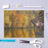 Autumn River Elk Seidenpapier (Handwerk)