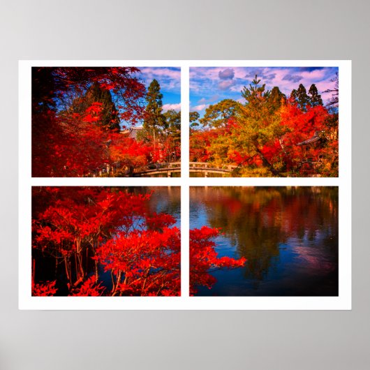 Autumn River Scene Print (Matte) Poster (Vorne)