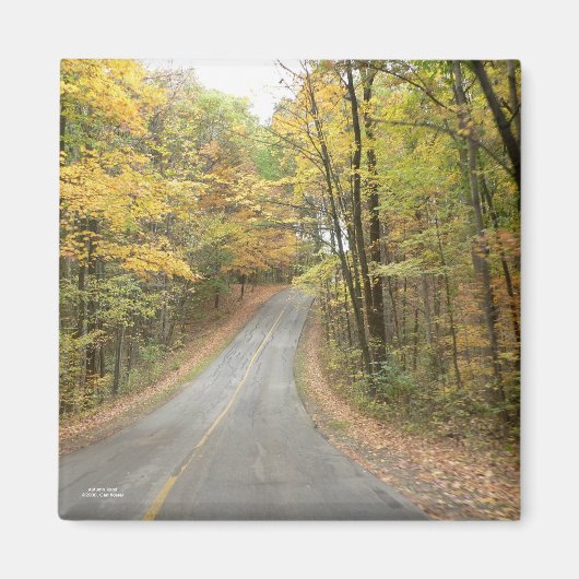 Autumn Road Magnet (Vorne)