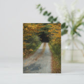 Autumn Road Postcard Postkarte (Stehend Vorderseite)
