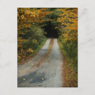 Autumn Road Postcard Postkarte