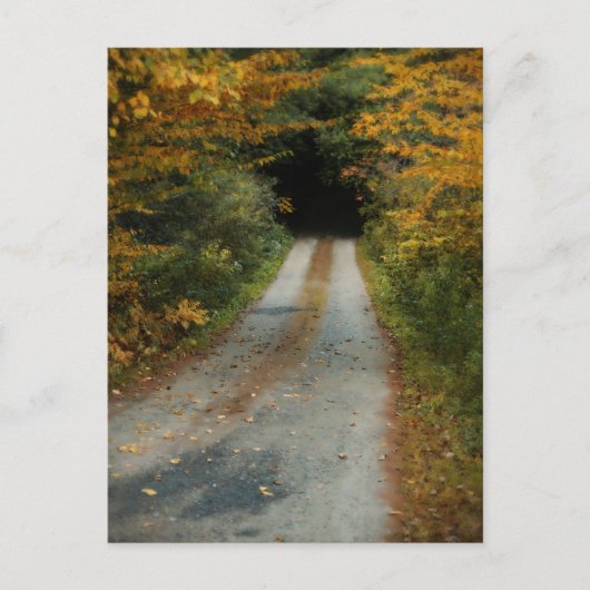 Autumn Road Postcard Postkarte (Vorderseite)