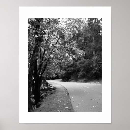 Autumn Road Yosemite Black and White Fotografy Poster (Vorne)