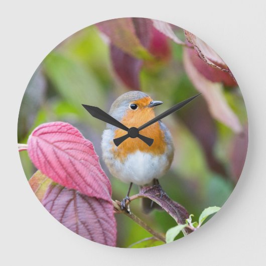 Autumn Robin Clock with red leaves in fall Große Wanduhr (Vorderseite)