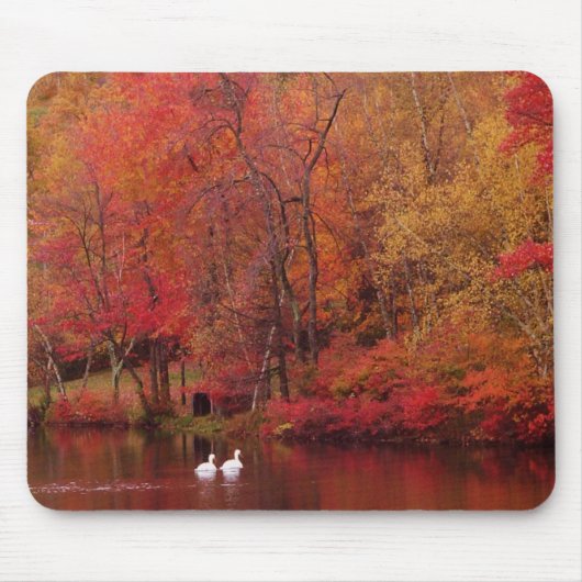 Autumn See Mousepad (Vorne)