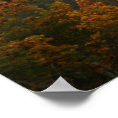 Autumn Serenade Poster Paper (Matte) (Ecke)