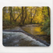 Autumn Serenity Forest Mousepad (Vorne)