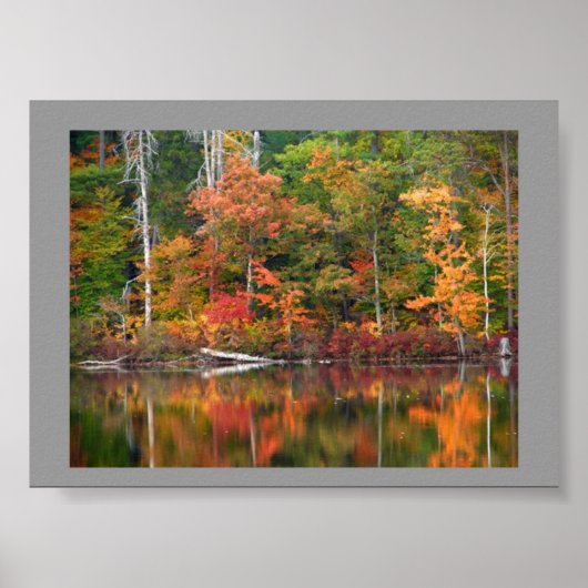 Autumn Serenity Poster (Vorne)