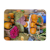 Autumn Sessween Pumpkins Magnet (Horizontal)
