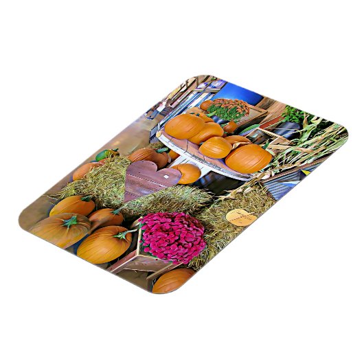 Autumn Sessween Pumpkins Magnet (Linke Seite)