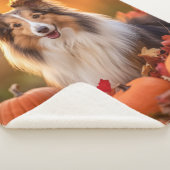 Autumn Sheltie Sherpadecke (3/4)