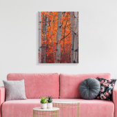 Autumn Splendor Leinwanddruck (Insitu (Wohnzimmer))