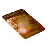 Autumn Splendor Magnet (Rechte Seite)