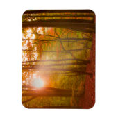 Autumn Splendor Magnet (Vertikal)