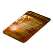 Autumn Splendor Magnet (Linke Seite)