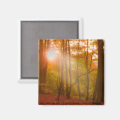 Autumn Splendor Magnet (Vorderseite/Rückseite)
