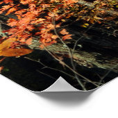 Autumn Splendor Poster (Ecke)