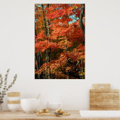 Autumn Splendor Poster (Küche)