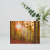 Autumn Splendor Postkarte (Stehend Vorderseite)
