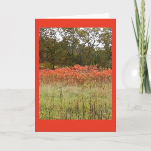 Autumn Sumac Blank Notecard Karte (Vorderseite)