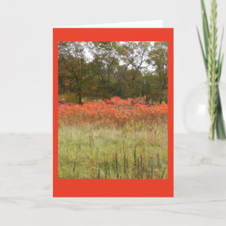 Autumn Sumac Blank Notecard Karte