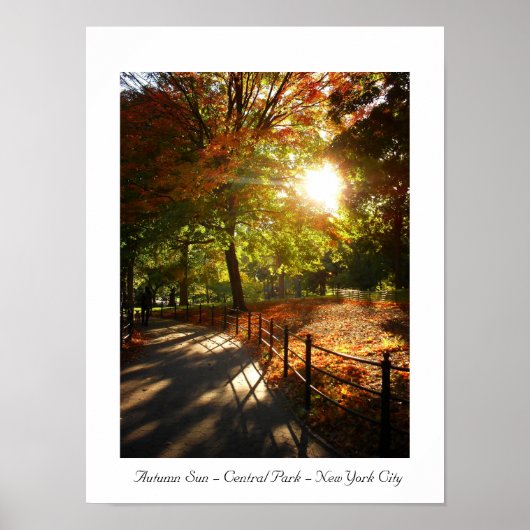 Autumn Sun - Central Park - New York City Poster (Vorne)