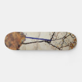 Autumn Sun Skateboard (Horizontal)