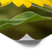 Autumn Sunflower Graphic Poster (Ecke)