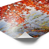 Autumn Sunlight #2 Fotodruck (Ecke)