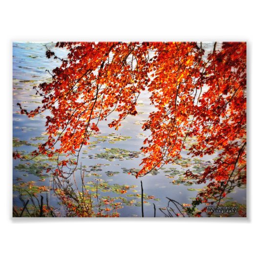 Autumn Sunlight #2 Fotodruck (Vorne)