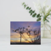 Autumn Sunset Echos Postcard Postkarte (Stehend Vorderseite)