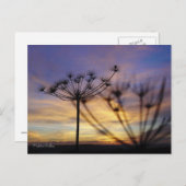 Autumn Sunset Echos Postcard Postkarte (Vorne/Hinten)