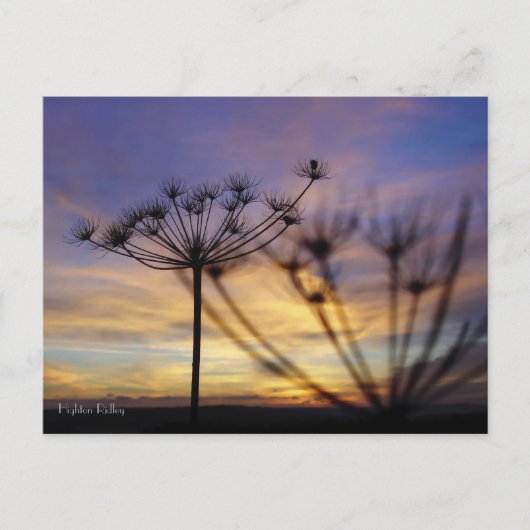 Autumn Sunset Echos Postcard Postkarte (Vorderseite)