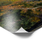 Autumn Sycamores Fotodruck (Ecke)