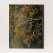 Autumn Sycamores Puzzle (Vertikal)