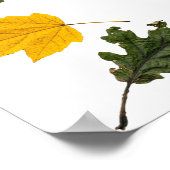 Autumn Symmetry Leaf Pattern Poster (Ecke)