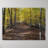 AUTUMN TRAIL. POSTER (Vorne)