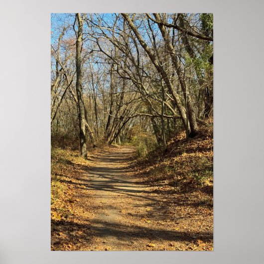 Autumn Train Poster (Vorne)