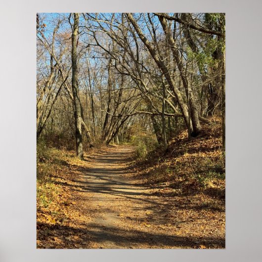 Autumn Train Poster (Vorne)