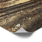 Autumn Train Poster (Ecke)