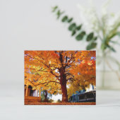 Autumn Tree Foto von Mark Edward Westerfield Postkarte (Stehend Vorderseite)