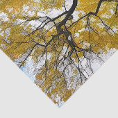 Autumn Tree Yellow Blätter Blue Sky Seidenpapier (Ausschnitt)