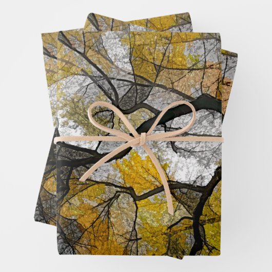 Autumn Tree Yellow Gray Blätter Sky (Beispiel)