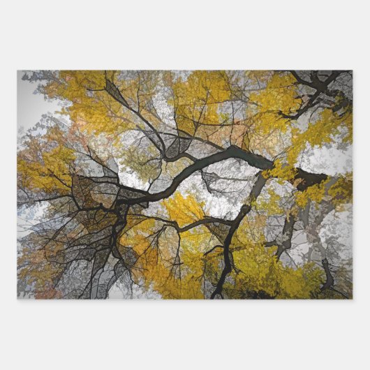 Autumn Tree Yellow Gray Blätter Sky (Vorderseite)