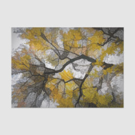 Autumn Tree Yellow Gray Blätter Sky Seidenpapier